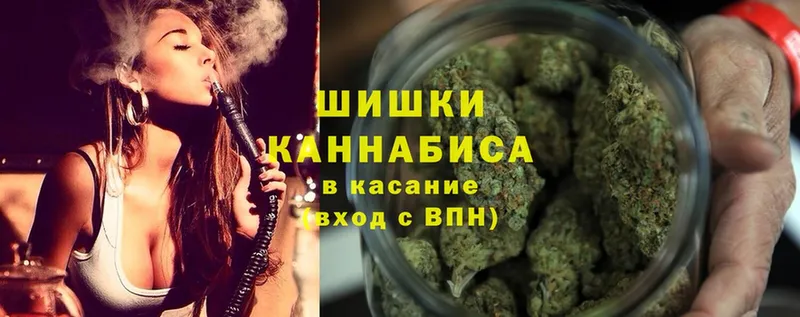 Марихуана Bruce Banner  закладки  Пятигорск 